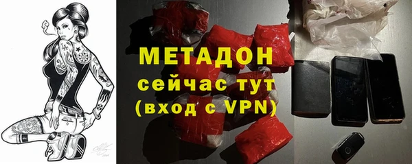 прущие грибы Белокуриха