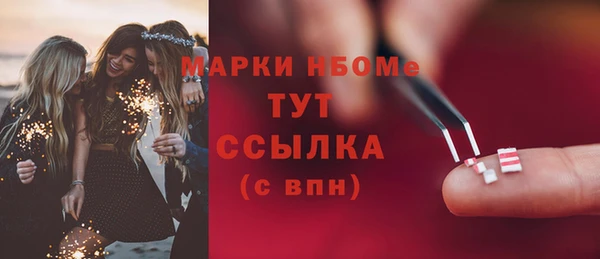 прущие грибы Белокуриха