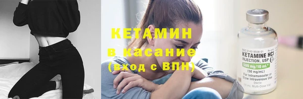 прущие грибы Белокуриха