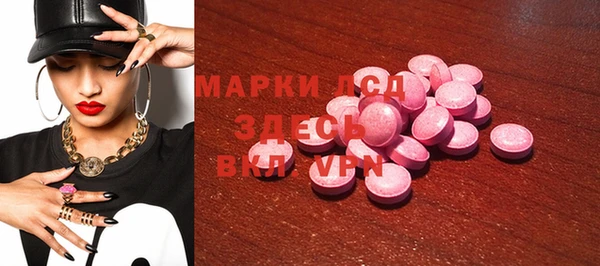 прущие грибы Белокуриха