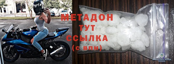 прущие грибы Белокуриха