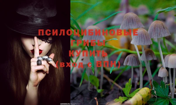герыч Беломорск
