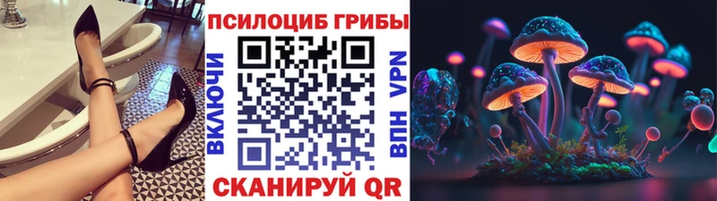 Псилоцибиновые грибы GOLDEN TEACHER  цена наркотик  Лыткарино 